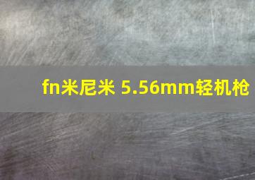 fn米尼米 5.56mm轻机枪